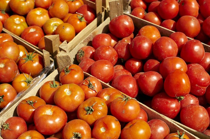 Tomato