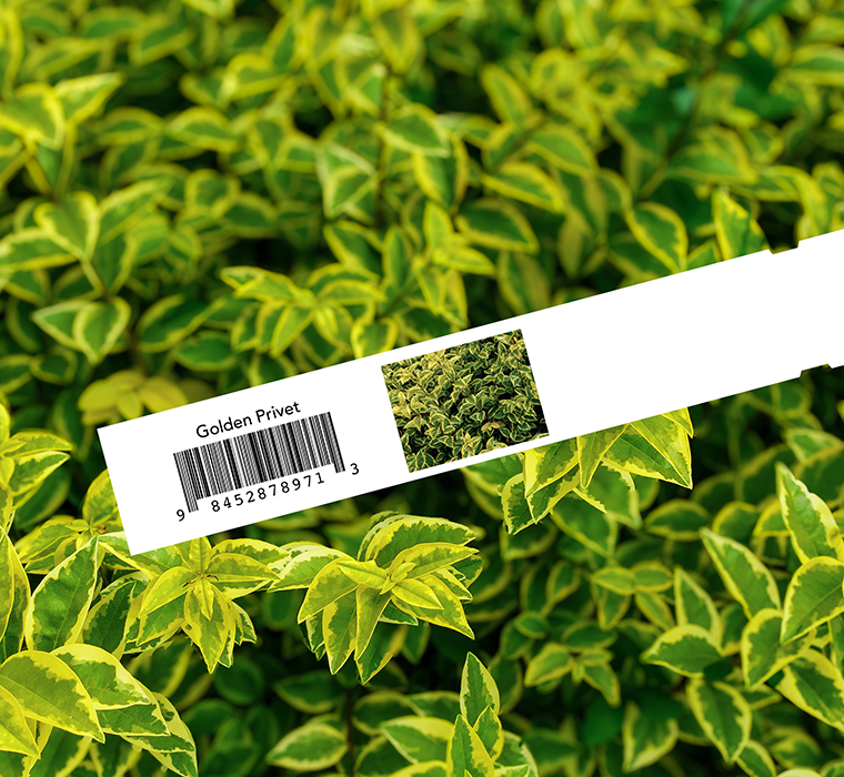 Horticulture