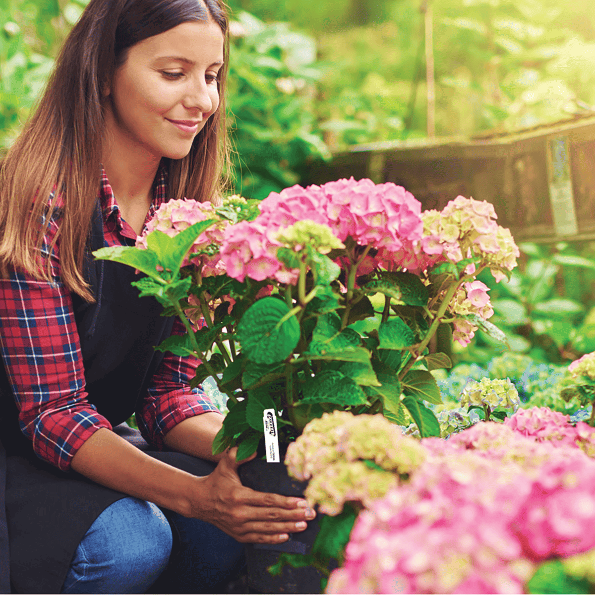 Horticulture